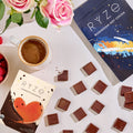 RYZE Chocolate Indulgence Bundle, Mushroom Drink Mix Set