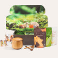 RYZE Ritual Set - Matcha & Coffee, Mushroom Drink Mix Set